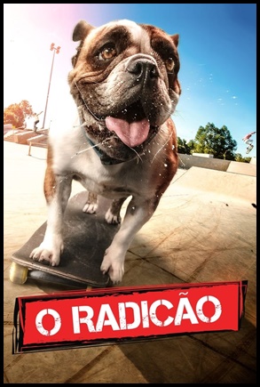 O Radicão 2018