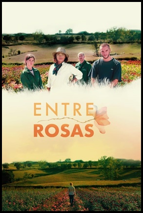 Entre Rosas 2020
