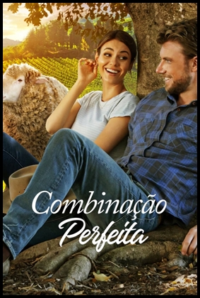 Combinação Perfeita (2022)