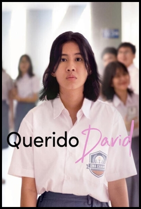 Querido David (2023)