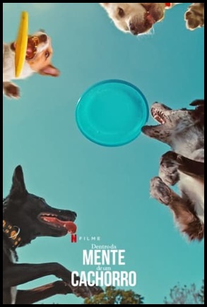 Dentro da Mente de um Cachorro (2024)