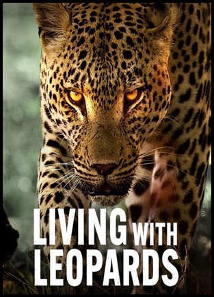 A Vida dos Leopardos (2024)