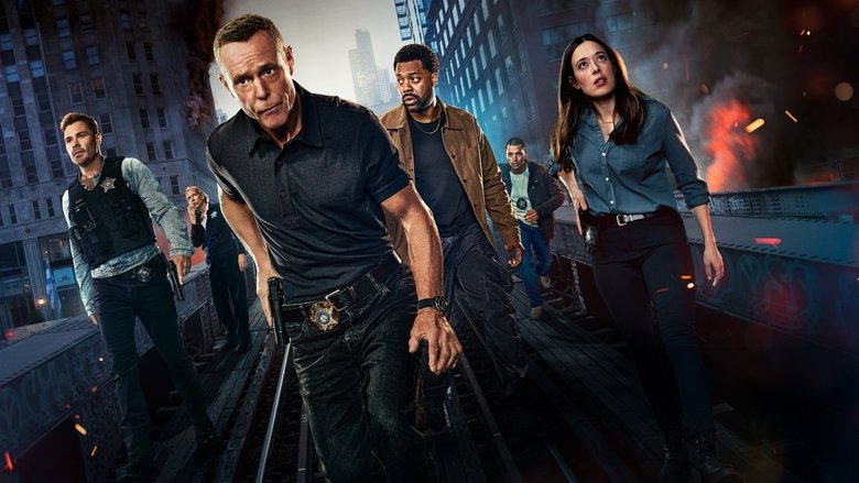 Chicago P.D Distrito 211