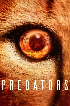Series 1